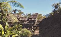 Where to go in South America: Lost city of Teyuna